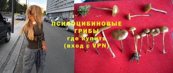 прущие крисы Красноперекопск