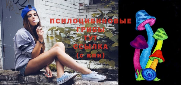 сатива Корсаков