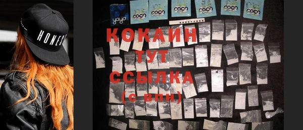 МДПВ Лагань